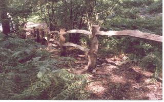 Riven oak post and rail fence